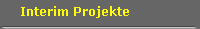 Interim Projekte
