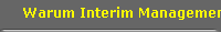 Warum Interim Management